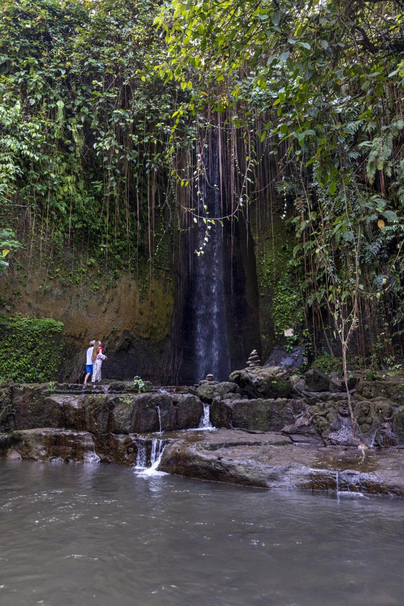 Ikada Villa By Pramana Villas Ubud Zewnętrze zdjęcie