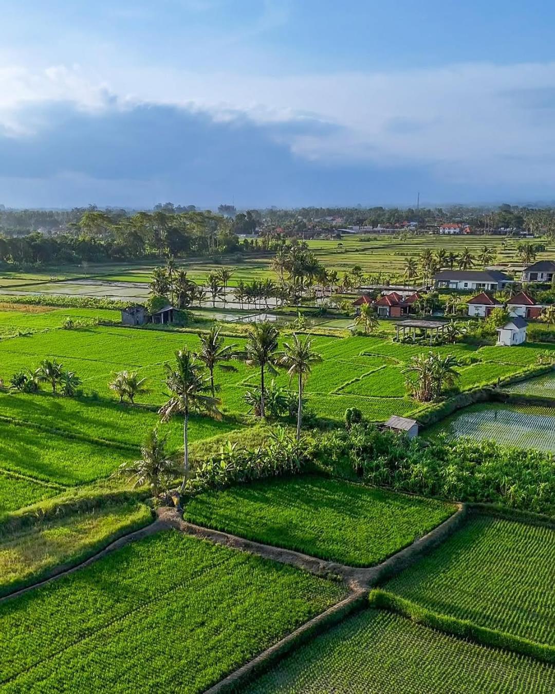 Ikada Villa By Pramana Villas Ubud Zewnętrze zdjęcie