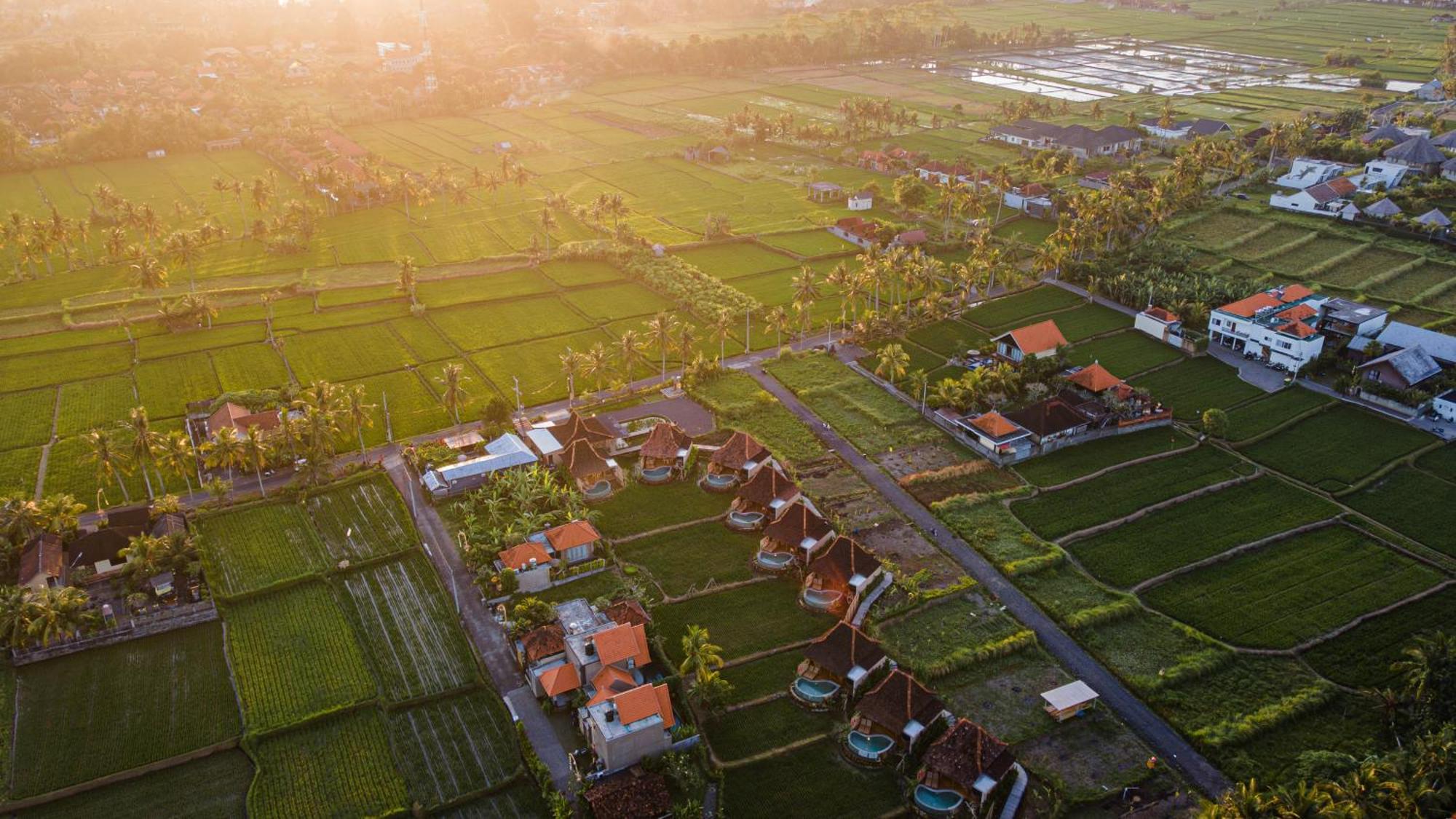 Ikada Villa By Pramana Villas Ubud Zewnętrze zdjęcie
